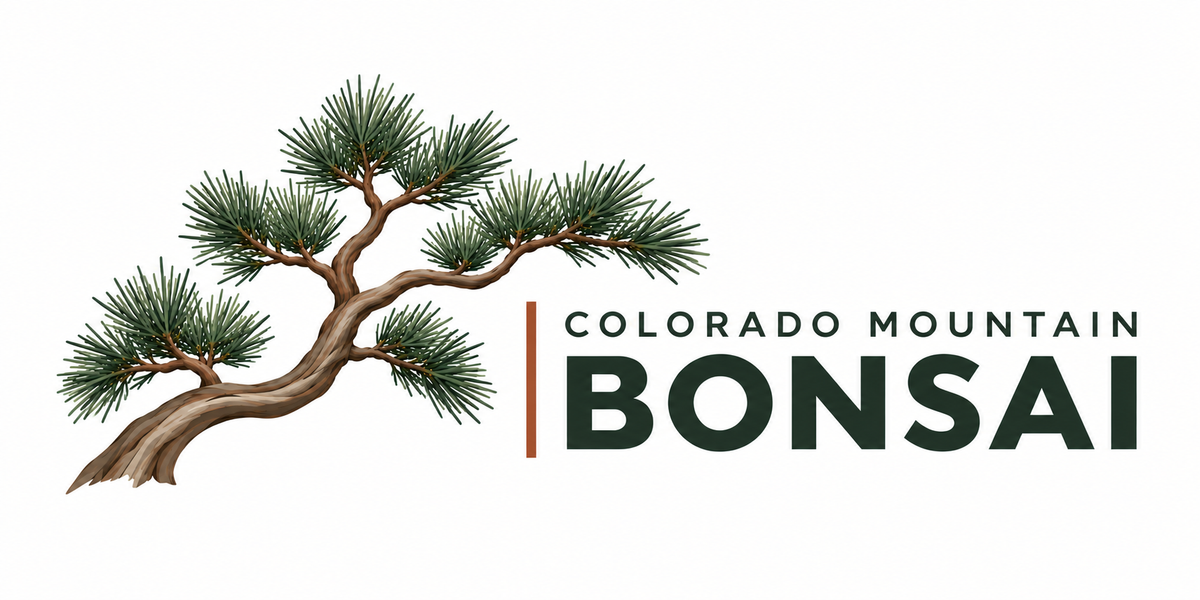 CMBonsai LLC